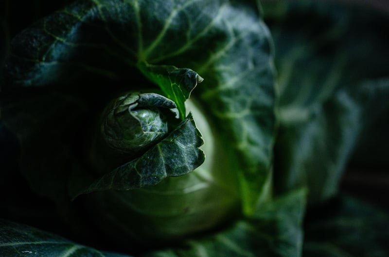 Grocery Store Image